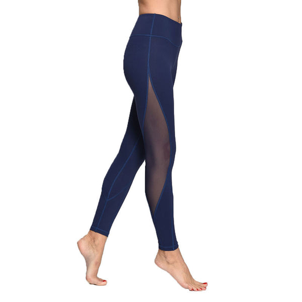 Women's Sports Slim Mesh Yoga Pants/Leggings/Gym Tights